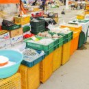 마전시장 이미지