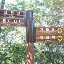 하도바다 이미지