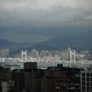 마루하우스 이미지