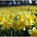 아라메길(6구간) 이미지