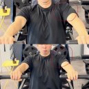 꽃대나리로 | 달동피티 컨디셔닝 통증개선(Feat.실제후기)[노브레이크PT헬스]