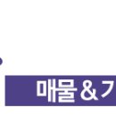 로잔롯데강남 이미지