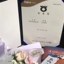[2024 하반기 지역농협 6급 최종합격 후기] /자기소개서 작성법 / 합격자 자소서 공유