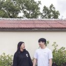스테이희와