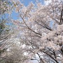 화랑공원 이미지