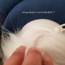 놀고 먹고 자개 이미지