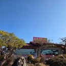 탑골숯불닭갈비 | 일죽맛집 부모님과 다녀온 탑골가든 안성점, 숯불닭갈비 닭목살 솔직 후기