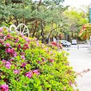 도산레포츠