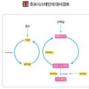 블루션 이미지