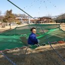 알프스하이디어린이집 이미지