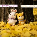 몽코 이미지