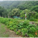 밀양힐링펜션 이미지