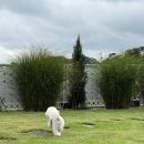 초지2626 이미지