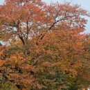 건강밝은약국 이미지