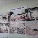 배꼽부엉이
