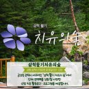 삼척 활기 치유의 숲 이미지