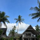 탄비치 (tann beach) | 탄자니아 잔지바르 신혼여행 숙소 추천 마라피키 비치 호텔 스파 marafiki beach hotel&amp;spa 숙박 후기