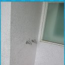 해솔바이오 이미지