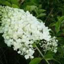 밝은행정사사무소 이미지