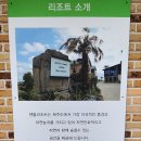 젠틀리조트 이미지