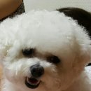 히힛