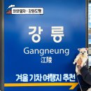 기차마을 버스정류장 | 겨울 기차여행 추천 강릉 겨울바다부터 분천 산타마을까지