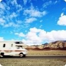 소망의 나무 이미지