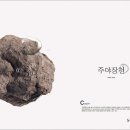 TEA건축사사무소 | Project 505 / 실내건축 대학원에 모두 합격한 전통주 보틀 샵&바 인테리어