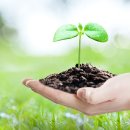 지평 태양광발전소 이미지