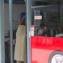 도넛코기토 이미지