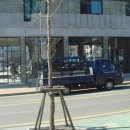 서판교세탁 이미지