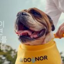 아임크리에이티브 이미지