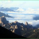 생의찬가 이미지