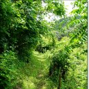 외씨버선길(장계향디미방길) 이미지