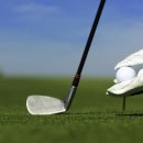 MS골프아카데미 이미지