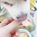 도기키친 프롬제주 이미지