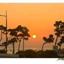 설악해맞이공원 이미지