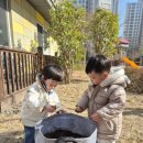 [창원시립남문프라디움어린이집] 자연친화텃밭활동-씨감자&amp;꽃모종 심기 이미지