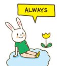 스피드 카 이미지