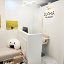 서희:스킨(서희:SKIN)