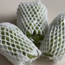 한송농장 이미지