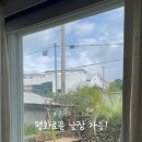 프레리아독채커플펜션