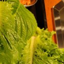 무궁화로_2 이미지