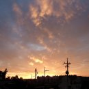 선창목장 이미지