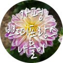 모텔쁘띠 이미지