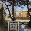 가-26 | 청주 아이와 가볼만한곳 | 26개월 아이랑 다래목장 동물체험 후기