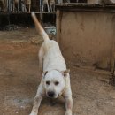 지에스농장 이미지