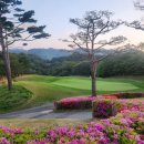 충일여성사우나 | [파인밸리CC 1박2일] 5월 특가! 강원도 삼척 동해 바다와 태백산맥이 빚은 명품 코스 로고 상품 증정