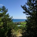 당근바다 이미지