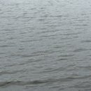 세븐일레븐 천안직산양당점 | [출조 후기] 천안 직산 양당 저수지 – 손맛은 못 봤지만 입질은 있었습니다 🎣